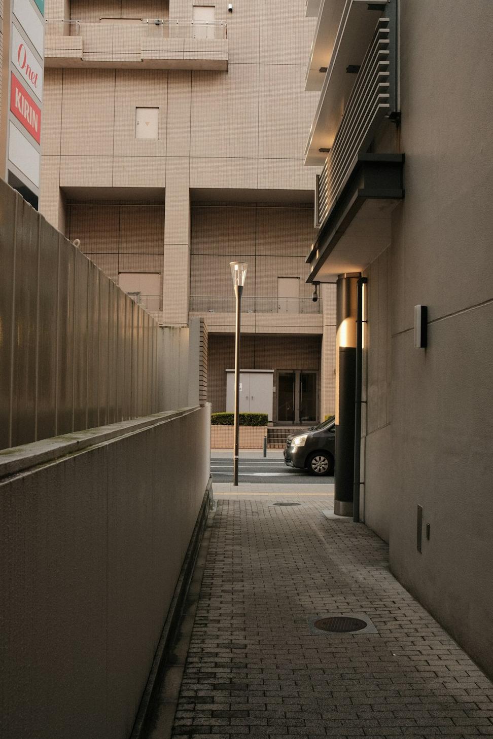 Dunbar Laneway House